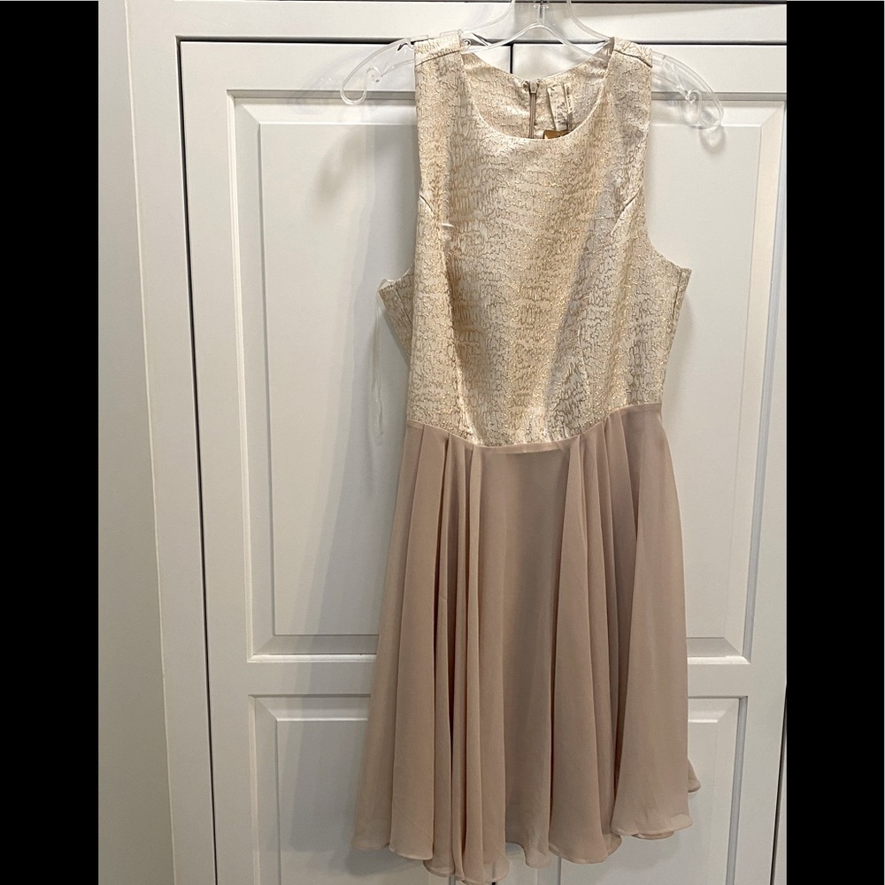 Francesca’s sheer full skirt skater dress medium NWT